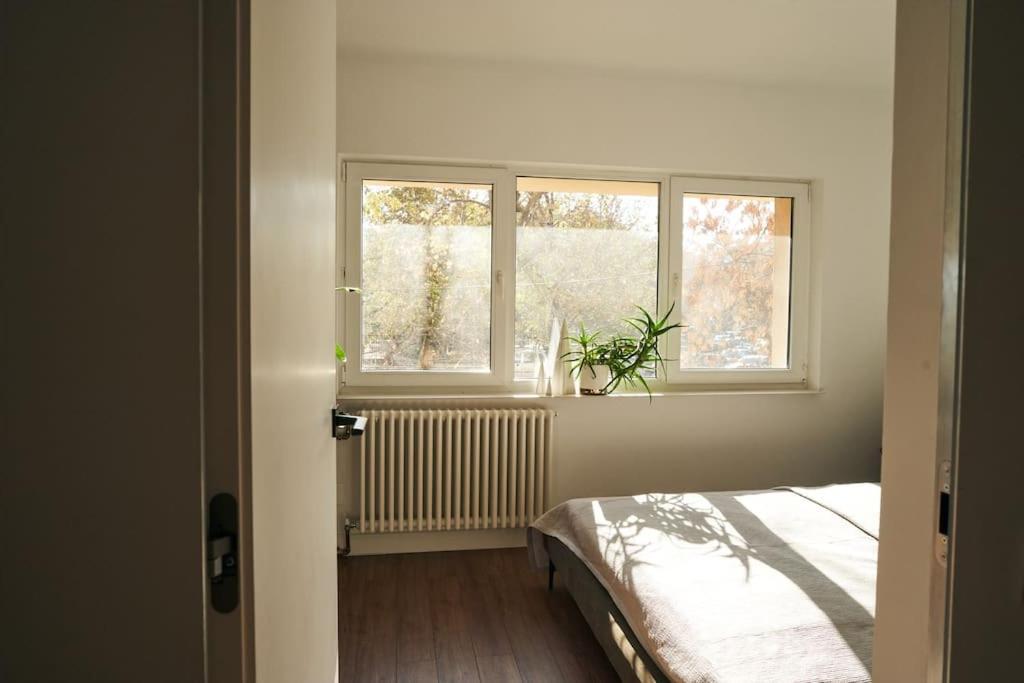 Ultracentral Two Rooms Apartment In Bucarest Esterno foto